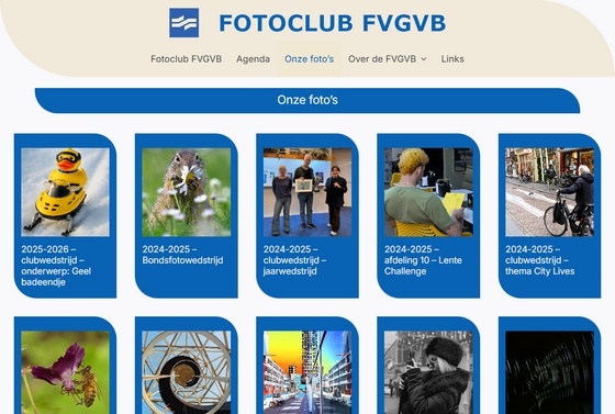 www.fvgvb.nl